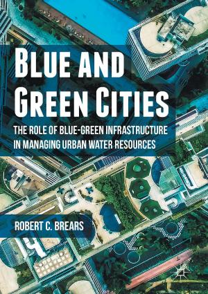 Cover of the book Blue and Green Cities by Kieran McNally