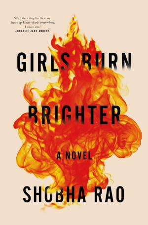 Cover of the book Girls Burn Brighter by Sara Lövestam