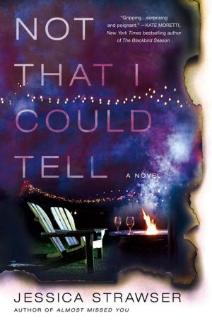 Cover of the book Not That I Could Tell by Breakfield and Burkey