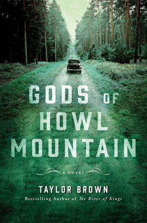 Book cover of Gods of Howl Mountain
