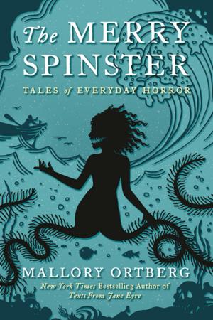 Cover of the book The Merry Spinster by Julie Morgenstern