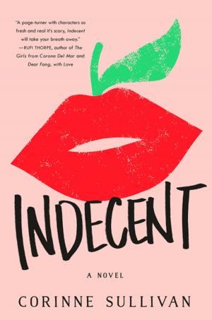 Book cover of Indecent