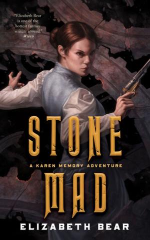 Cover of the book Stone Mad by William Martin