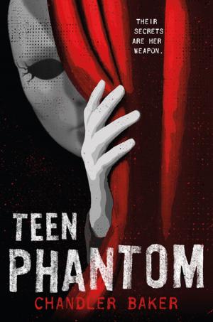 Book cover of Teen Phantom: High School Horror