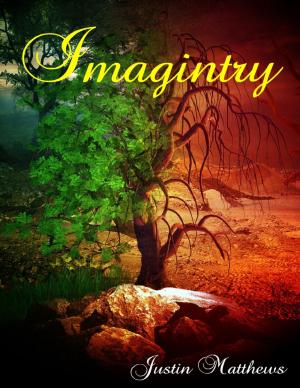 Cover of the book Imagintry by Daniel Blue