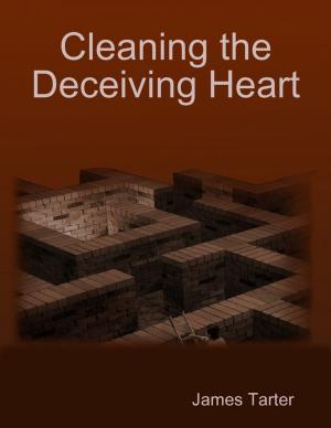 Book cover of Cleaning the Deceiving Heart