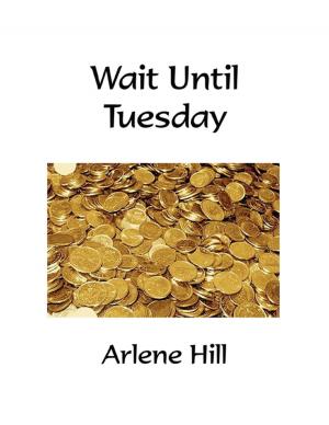 Cover of the book Wait Until Tuesday by Carmenica Diaz