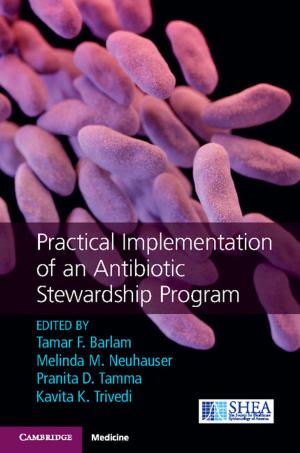 Cover of the book Practical Implementation of an Antibiotic Stewardship Program by David Lowenthal