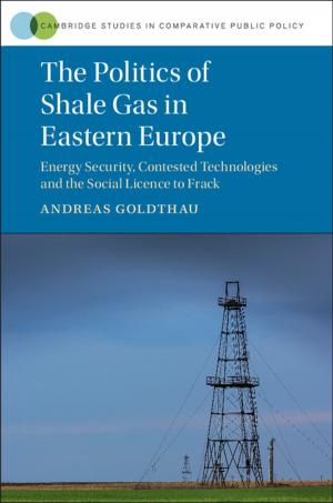 Book cover of The Politics of Shale Gas in Eastern Europe