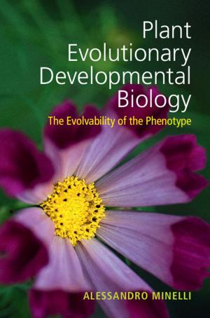 Cover of the book Plant Evolutionary Developmental Biology by Robert S. Singh