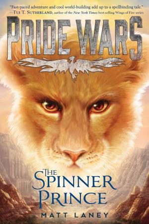Cover of the book The Spinner Prince by Kate Milford