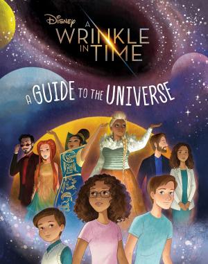 Book cover of A Wrinkle in Time: A Guide to the Universe