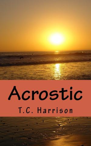 Cover of the book Acrostic by Justin Epstein