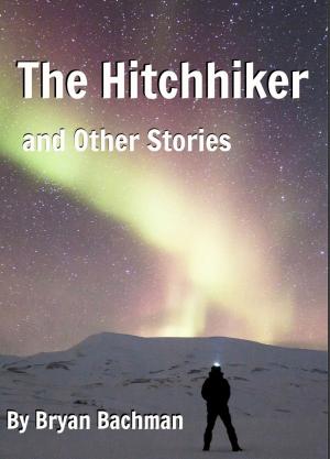 Cover of the book The Hitchhiker and Other Stories by Ty Patterson