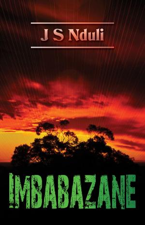 Cover of the book Imbabazane by Nicholas Stanton