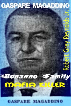 Book cover of Gaspare Magaddino Bonanno Family Mafia Killer
