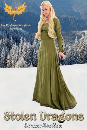 Cover of the book Stolen Dragons by Kimberly Kinrade