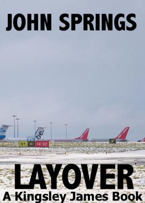 bigCover of the book Layover: A Kingsley James Book by 