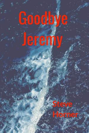 Cover of the book Goodbye Jeremy by Megan Mitcham