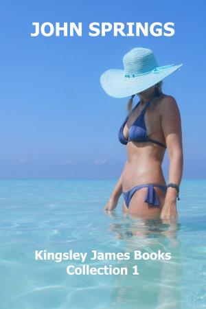 Cover of the book Kingsley James Books: Collection 1 by John Springs