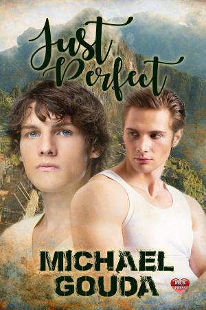 Cover of the book Just Perfect by Laura Baumbach