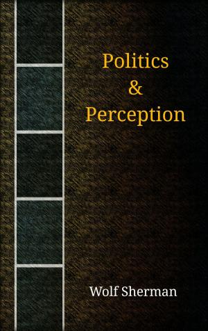 bigCover of the book Politics & Perception by 