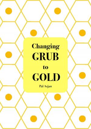 Cover of the book Changing Grub to Gold by Karen Furneaux