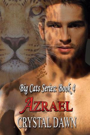 Cover of the book Azrael by TL Bohr
