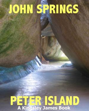 Cover of the book Peter Island: A Kingsley James Book by John Springs