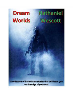 Cover of the book Dream Worlds by Britta Bendixen