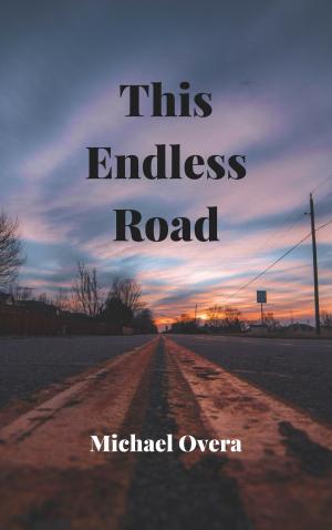 Cover of the book This Endless Road by Eleanor Levine
