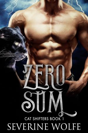 Cover of the book Zero Sum by Severine Wolfe