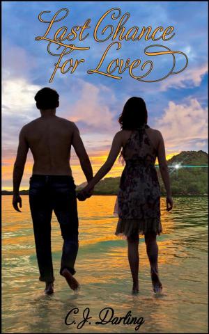 Cover of the book Last Chance For Love by Linda Thomas-Sundstrom