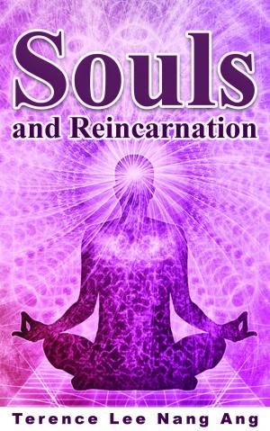 Cover of Souls And Reincarnation