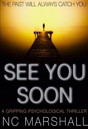 Book cover of See You Soon: A gripping summer thriller