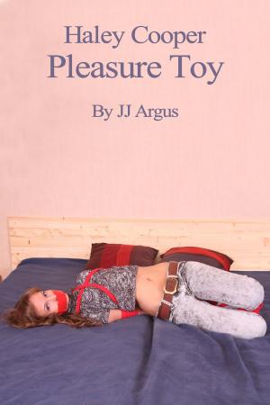 Book cover of Haley Cooper, Pleasure Toy