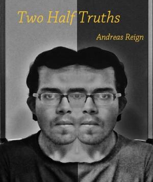 Cover of the book Two Half Truths by Kimberly Johnson