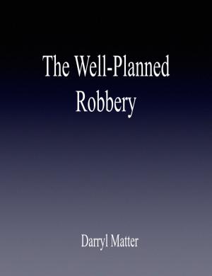 Book cover of The Well-Planned Robbery