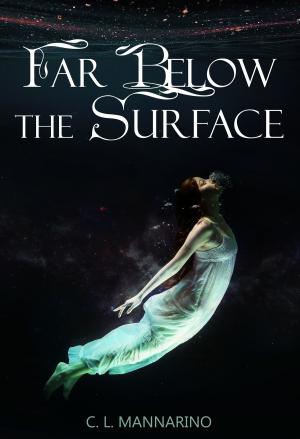 Cover of the book Far Below the Surface by C.L. Mannarino
