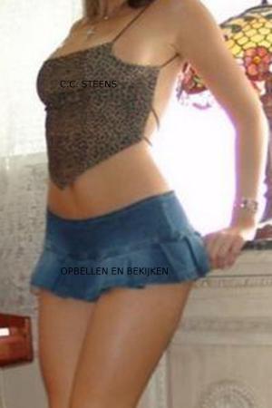 Cover of the book Opbellen En Bekijken by CC Steens