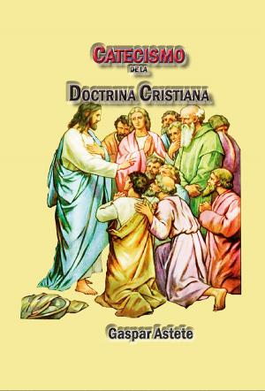 Cover of the book Catecismo de la doctrina cristiana by Luis Alberto Villamarin Pulido