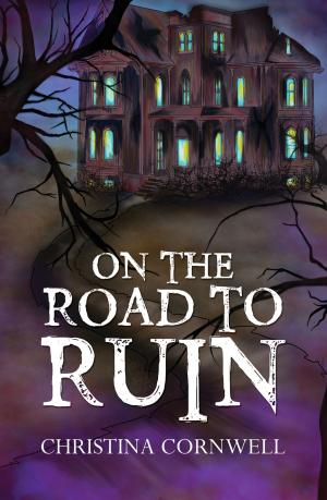 Cover of the book On The Road To Ruin by E. Ray Canterbery