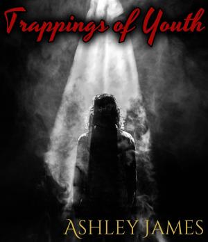 Cover of the book Trappings of Youth by CC Hogan