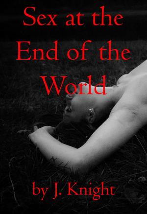 Cover of the book Sex at the End of the World by J. Knight