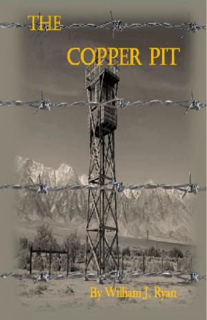 Cover of the book The Copper Pit by Arthur Hopfner