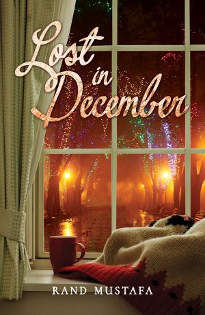 Cover of the book Lost in December by Jane Begley