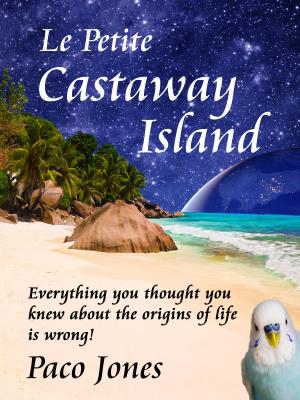 bigCover of the book Le Petite Castaway Island by 
