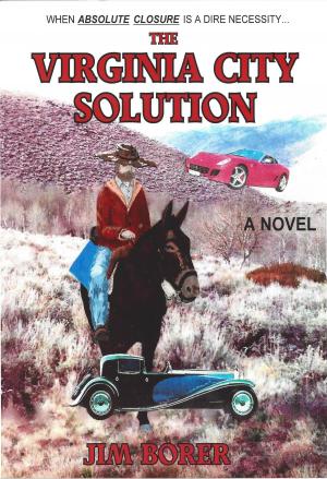 Cover of the book The Virginia City Solution by Digressing Me