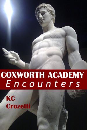 Book cover of Coxworth Academy Encounters