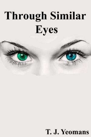 Cover of the book Through Similar Eyes by Dominique Eastwick